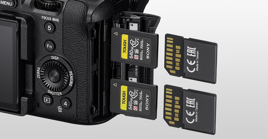 Camera with SD cards and CFexpress cards