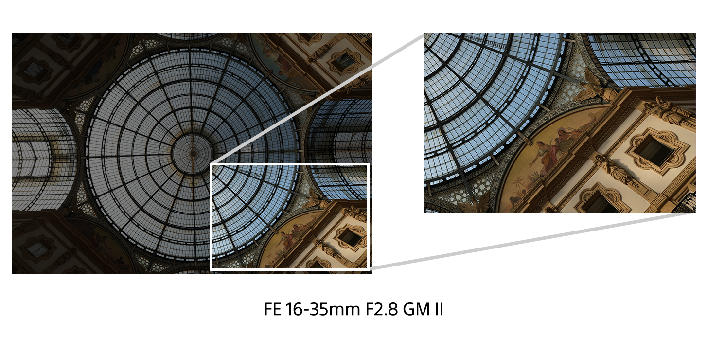 Пример изображения (слева) с вырезкой и увеличенной областью (справа) от периферии для демонстрации высокого разрешения объектива, а также с надписью SEL1635GM2