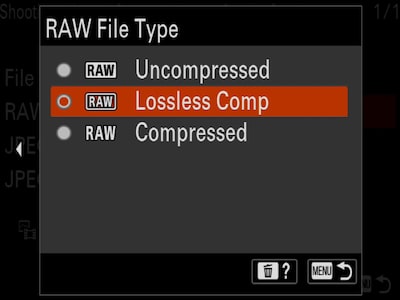 В меню "RAW File Type" (Тип файла RAW) выберите раздел "Lossless Comp" (Сжатие без потерь)