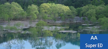 Пример изображения, на котором показана сцена на берегу озера с деревьями, растущими прямо из озера, и насаждениями, отражающимися в воде
