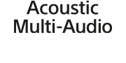 Логотип Acoustic Multi-Audio