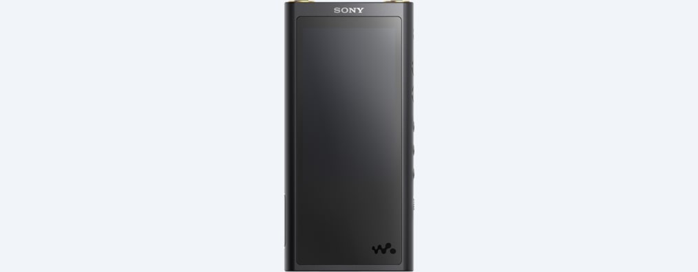 Изображения ZX300 Walkman® серии ZX