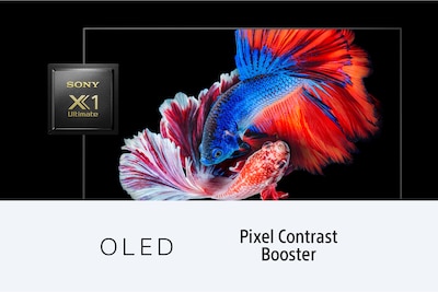 Рыба, иллюстрирующая контрастность OLED-экрана