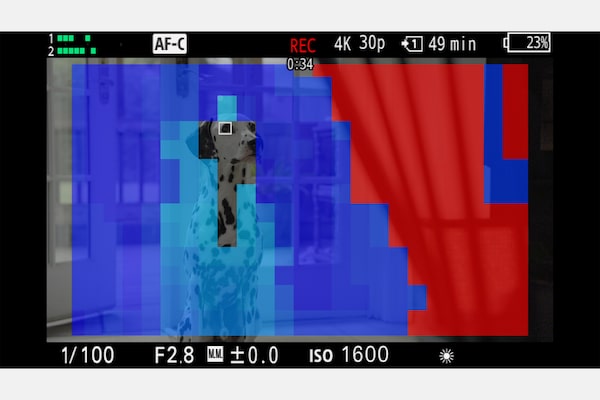Монитор камеры с цветами карты фокусировки, указывающими на глубину резкости