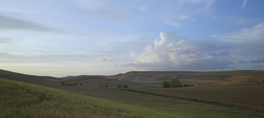 Пример изображения, на котором показан захват видеокадра пейзажа на лугу