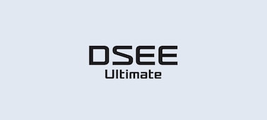 Логотип DSEE Ultimate