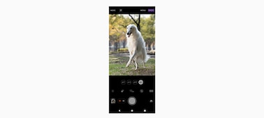 Интерфейс камеры с белой собакой на экране