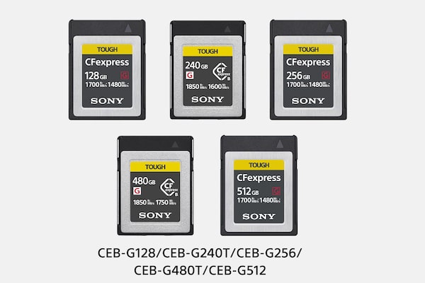 Изображения карты памяти CFexpress Type B серии CEB-G