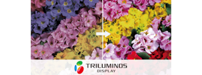 Логотип TRILUMINOS Сolour