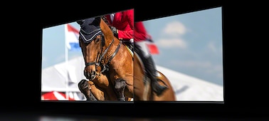 Два экрана демонстрируют изображение лошади и жокея на соревнованиях по преодолению препятствий, с более плавной передачей движений на левом экране благодаря панели с частотой 120 Гц