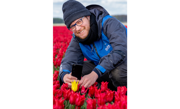 Портрет фотографа Альберта Дроса, который снимает желтый тюльпан на фоне красных на смартфон