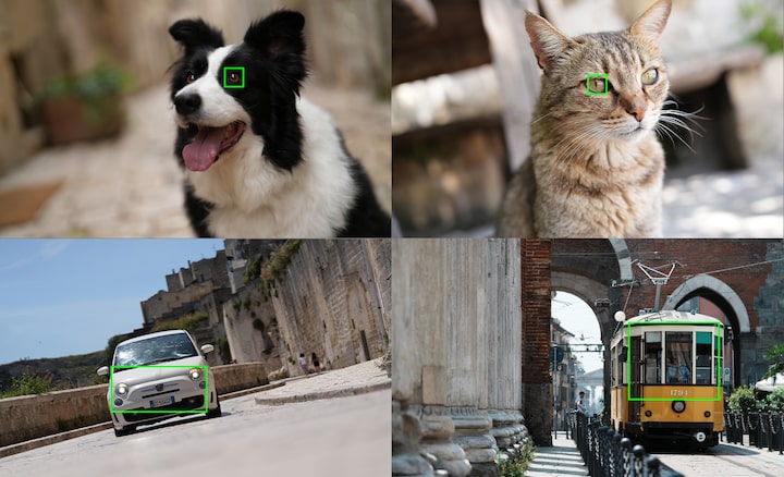 Пример изображений, на которых показаны объекты, распознаваемые ИИ камеры: собака, кот, автомобиль, поезд