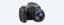 Изображения Компактная камера HX350 с 50-кратным оптическим зумом