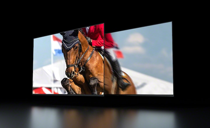 Два экрана демонстрируют изображение лошади и жокея на соревнованиях благодаря панели с частотой 120 Гц и технологии Motionflow™ XR