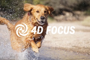 4D FOCUS: руководство по настройке камеры
