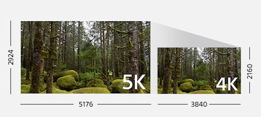 Видеоролик 4K с четкой, естественной и реалистичной картинкой