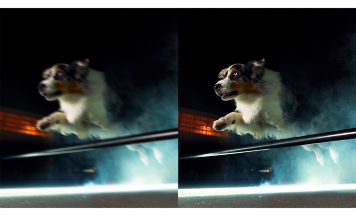 Два изображения собаки в прыжке; одно изображение размытое, второе резкое.