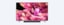 Телевизор BRAVIA X90K на подставке с саундбаром и изображением розовых кристаллов на экране, вид спереди