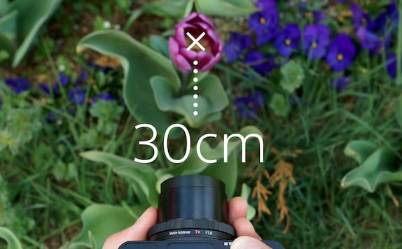Цифровая камера Sony DCS-RX100 III Cyber-shot с расстоянием съемки 30 см (12")