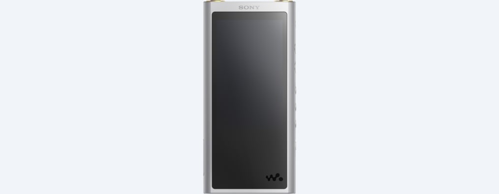 Изображения ZX300 Walkman® серии ZX