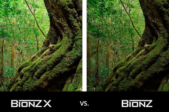 Поросшие мхом деревья и логотипы BIONZ X