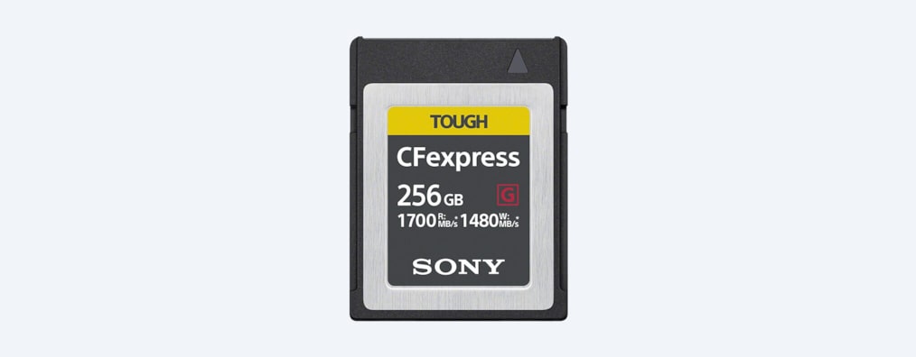 Изображения карты памяти CFexpress Type B серии CEB-G