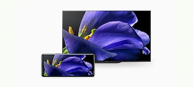 Крупный план цветка, отображаемого на телевизоре BRAVIA и смартфоне Xperia 5 II