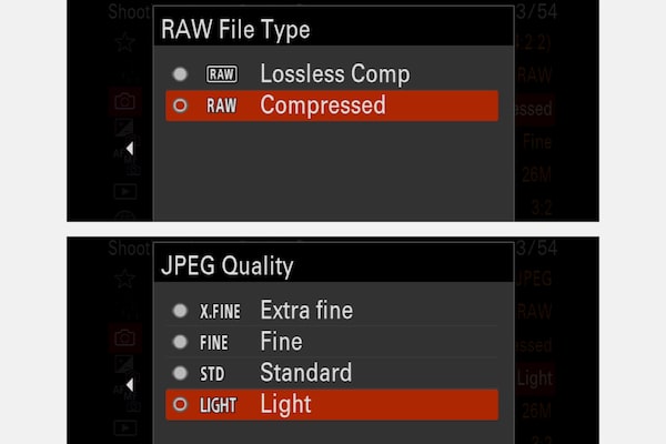 ЖК-экран камеры: экран выбора изображений в формате RAW