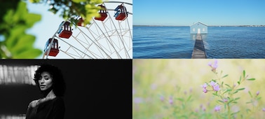 4 образца фотографий Creative look: колесо обозрения, лодочная станция, портрет женщины, макроизображение полевых цветов